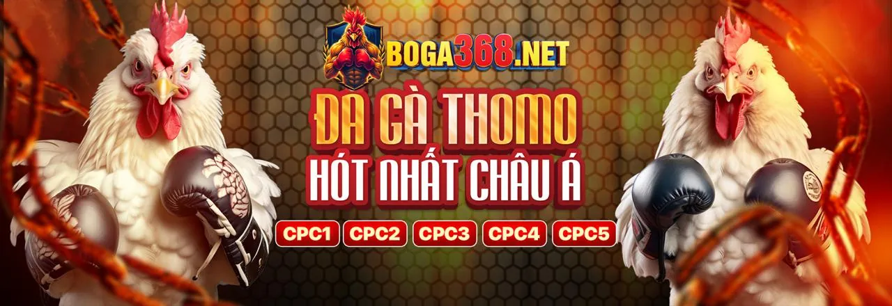 Tổng quan trò chơi Baccarat